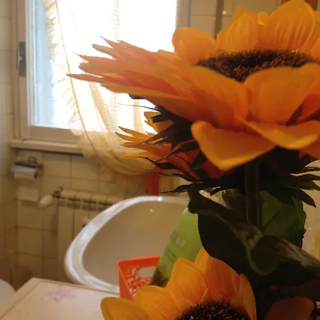 Sweethoney Apartamento